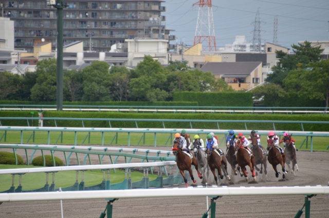 平日休みの方必見 南関競馬をやってみよう